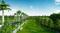 Residential Plot in Kuthambakkam Main Image 1