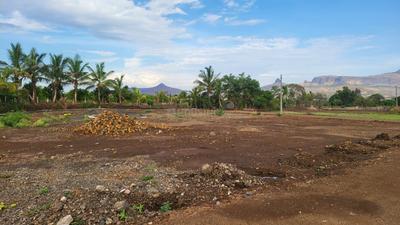 Image of 1000 Sq.ft Residential Plot / Land for sale in Pimplad Trimbak, Nashik for Rs. 5210000