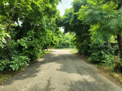 Image of 288 Sq.ft Residential Plot / Land for sale in Eachachhar, Greater Noida for Rs. 48000000
