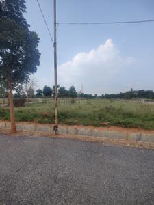 Residential Plot