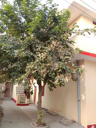 Vda caloni Industrial area Ramnagar Main Image 1