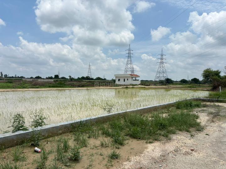 Sarojini Nagar Main Image 1