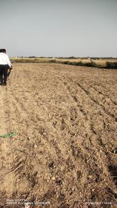 Image of 1000 Sq.ft Residential Plot / Land for sale in Basdeopur, Darbhanga for Rs. 1400000