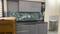 Nipania Kitchen 1
