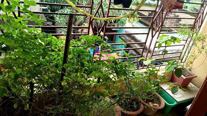 Sarada Palli, Nimta Main Image 1