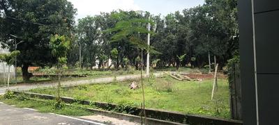 Building Paradise Blossom Paradise Plot View 2