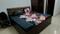 Wazirabad, Sector 52 Bedroom 1