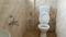 Squid Homes Bathroom 1