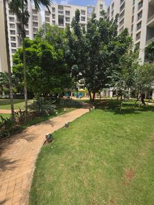 Image of Wisdom tree 201 in Kothnur Narayanapura, Bengaluru