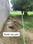 Robertsganj Main Image 1