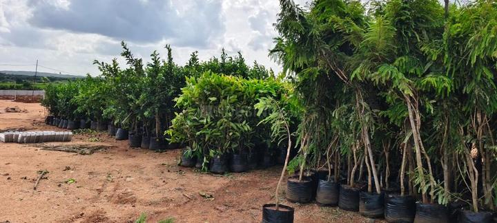 Keesara County Main Image 1