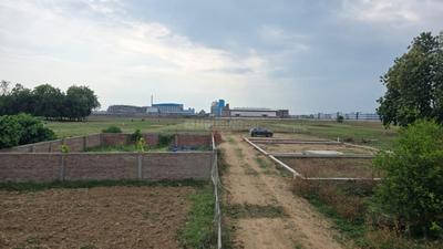 Bihta Plot View 1