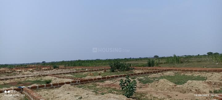kasipur tamondo Main Image 1