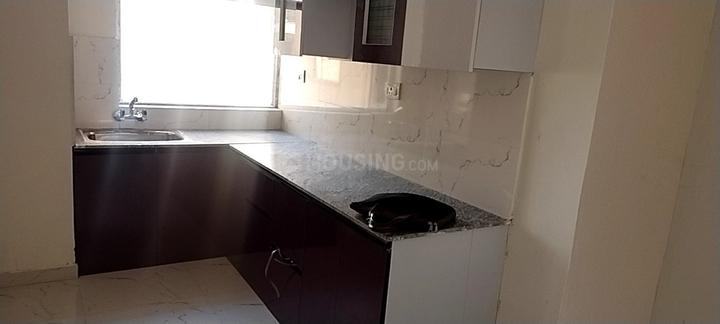 Pivotal Paradise Main Image 1