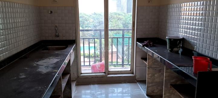 Rosa Gardenia Main Image 1