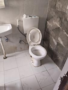 Image of 600 Sq.ft 2 BHK Apartment / Flat for rent in Pivotal Riddhi Siddhi, Sector 99, Gurgaon for Rs. 28000