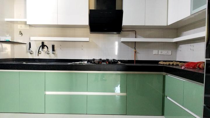 Nyati Epitome Main Image 1