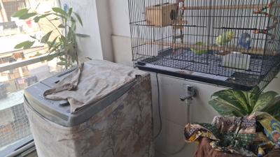 2 BHK Independent House