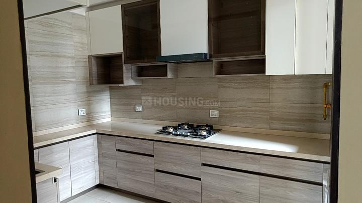 Unity The Amaryllis Phase 1 Main Image 1