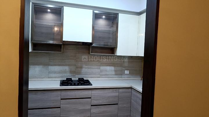 Unity The Amaryllis Phase 1 Main Image 1