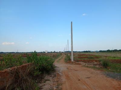 Patia Plot View 3