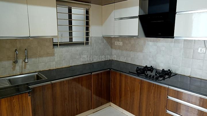 DS Max Starry Main Image 1