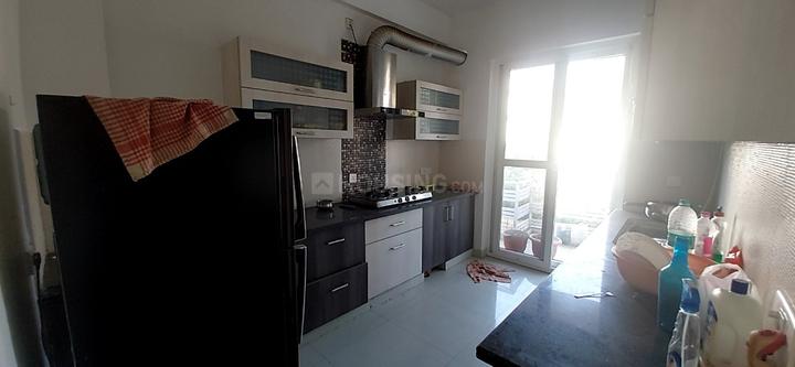 Acnova Scorf Main Image 1