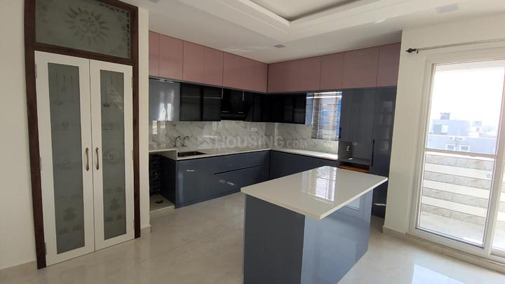 SS Delight Main Image 1