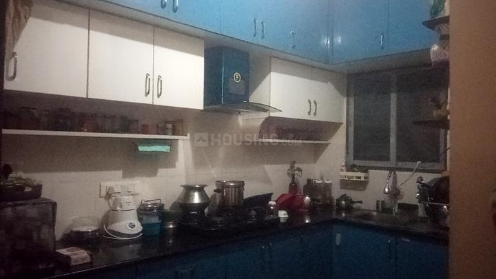 Asset Aura Main Image 1