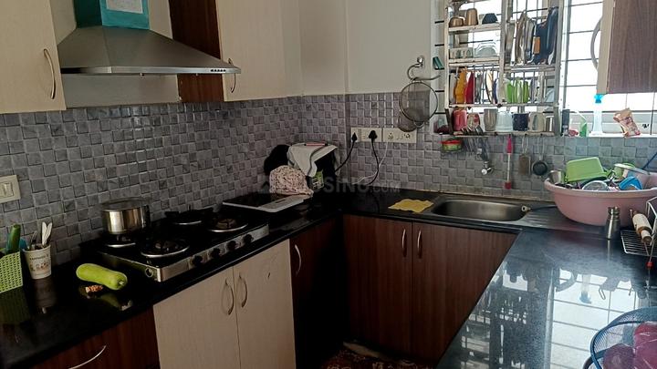 Vakil Daffodils Main Image 1