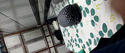 Living Room Image of 900 Sq.ft 1 BHK Independent House for sale in Shilaj Ahmedabad for Rs. 8500000