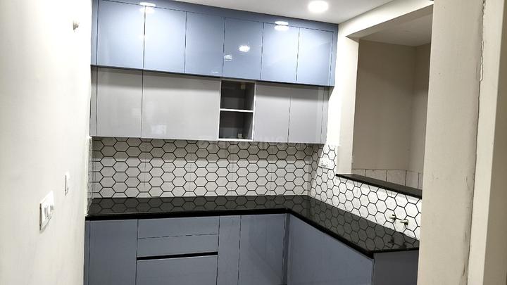 Bonsai Cedar Main Image 1