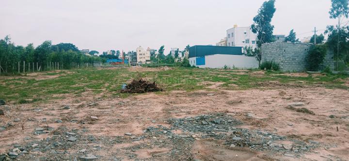 Bannerghatta Jigani Road Main Image 1
