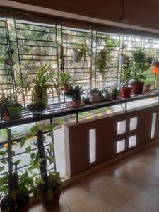 Balcony Image of 2410 Sq.ft 4 BHK Apartment / Flat for sale in South City Villa, Tollygunge Kolkata for Rs. 18000000