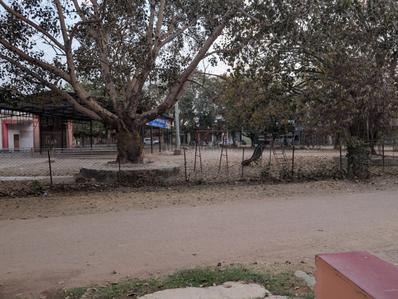 Image of 2400 Sq.ft 10 BHK Independent House for sale in Sindhya Nagar, Durg for Rs. 8000000