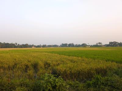 Image of 1440 Sq.ft Residential Plot / Land for sale in New Town, Kolkata for Rs. 2655000