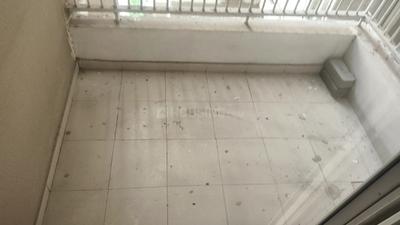 Living Room Image of 1435 Sq.ft 3 BHK Apartment / Flat for rent in Ajnara Daffodil, Sector 137 Noida for Rs. 33000