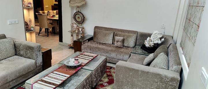 Acnova Scorf Living Room 1