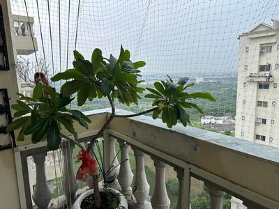 Balcony Image of 1320 Sq.ft 3 BHK Apartment / Flat for sale in Nimbus The Hyde Park, Sector 78 Noida for Rs. 15700000