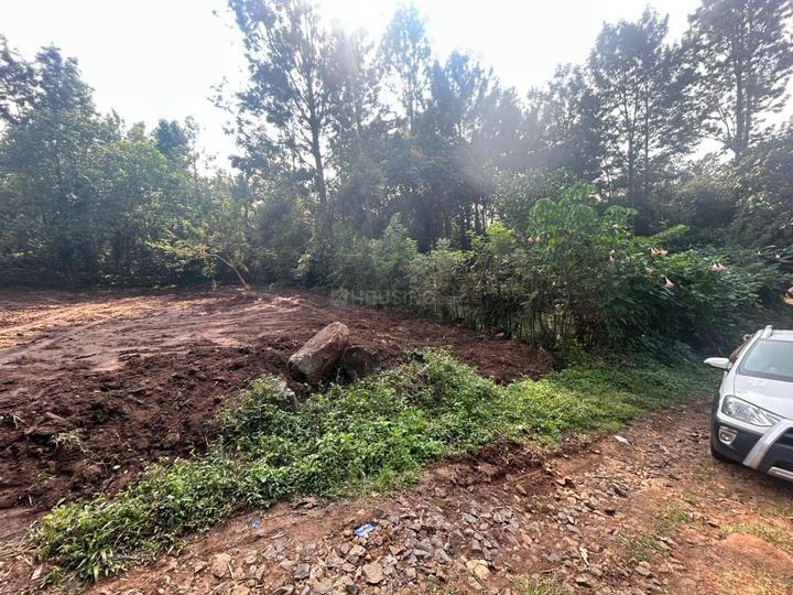 Yercaud Main Image 1