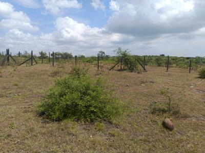 Image of 700 Sq.ft Residential Plot / Land for sale in Lohegaon, Pune for Rs. 1903000