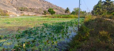 Image of 5989 Sq.ft Residential Plot / Land for sale in Harohalli, Ramnagara, Bengaluru for Rs. 7181411