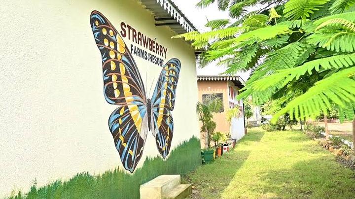 Strawberry resort Main Image 1