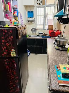Kitchen Image of 1050 Sq.ft 2 BHK Apartment / Flat for rent in Gaurs Gaur Global Village, Crossings Republik Ghaziabad for Rs. 17000