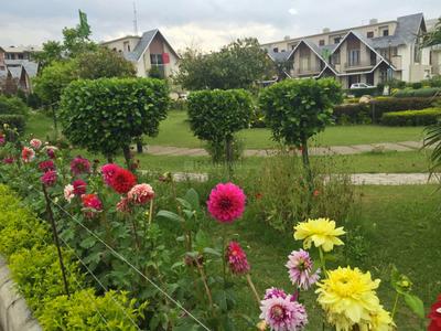 Image of 2560 Sq.ft 4 BHK Penthouse for rent in Millennium The Green County, Chohak Kallan Village, Jalandhar for Rs. 45000