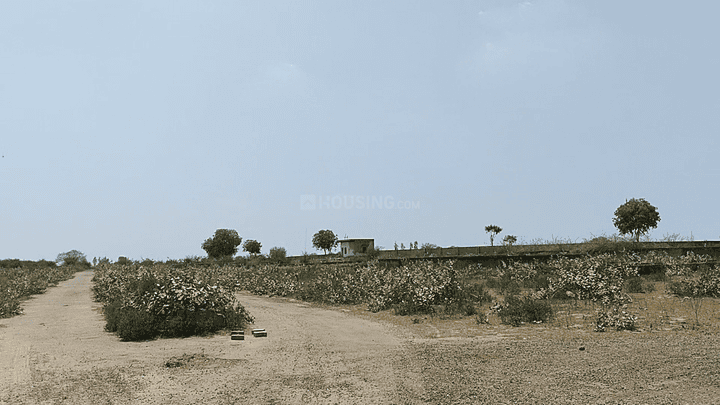 NH 2 Main Image 1