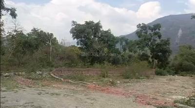 Residential Plot