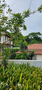 Balcony Image of 5000 Sq.ft 4 BHK Villa for sale in Ucassaim Goa for Rs. 120000000