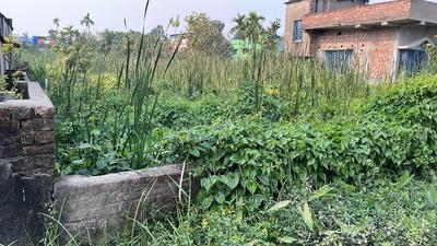 Image of 6200 Sq.ft Residential Plot / Land for sale in Baruipur, Kolkata for Rs. 4500000