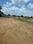 B L PARK Main Image 1